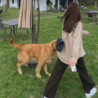 后翼弃兵：制作特辑